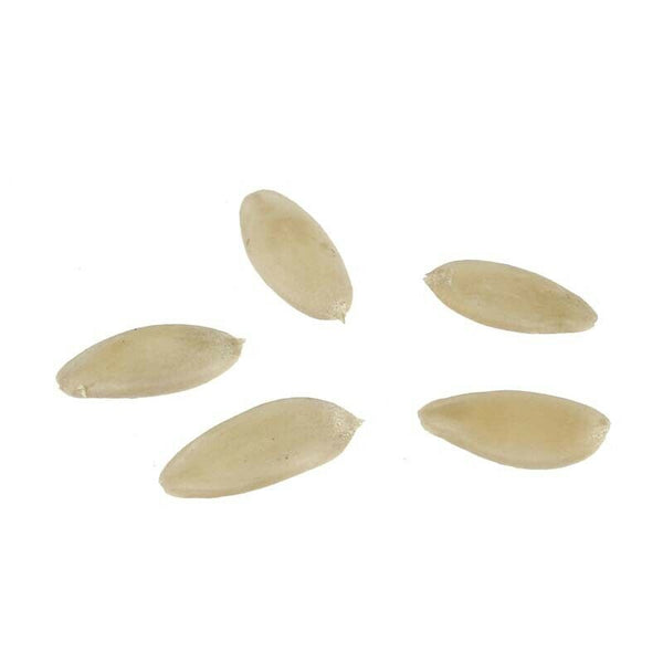 Cucumber - White Angel Organic Vegetable Seed
