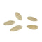 Cucumber - White Angel Organic Vegetable Seed