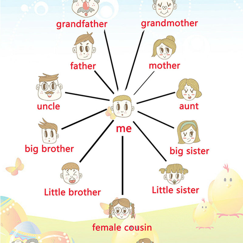 Family Tree~Kids Fun Early Learning Educational Preschool Poster Charts