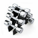 Vinyl Dumbbell Set Gym Weights Stand Rack Home Fitness Exercise Workout N MYB