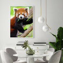 5D DIY Full Round Drill Diamond Painting Climbing Koala Cross Stitch Decor