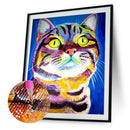 Cat 5D DIY Full Round Diamond Painting Animal Rhinestones Drawings (B2452)