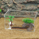 Good Ventilation - Acrylic Reptiles Terrarium Container Amphibians Lizards live