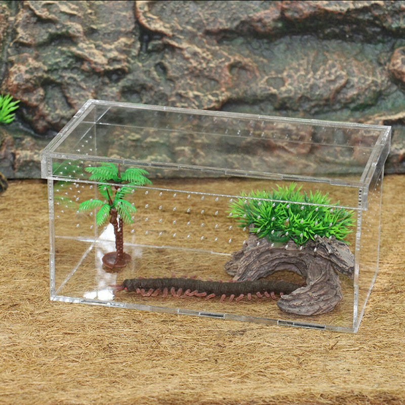 Good Ventilation - Acrylic Reptiles Terrarium Container Amphibians Lizards live