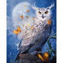 DIY Full Drill Diamond Painting Bird Cross Stitch Embroidery Mosaic Kits