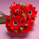 5D Full Round Drill Diamond Painting diy Flowers Needlework Decor (C1276)