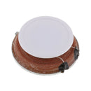 Vibration Speaker Horn Plane Vibration Speaker Novel Resonance Speaker 2.7cm