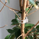 50pcs Trellis Tomato Clips Supports Connects Plants Vegetable Fastening ClipM&