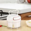 Garlic Press Ginger Grinding Vegetable Cutter Onion Mincer Kitchen With hand: Kw