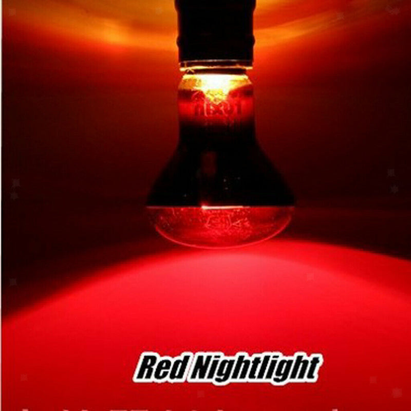 2Pcs Reptile Tortoise Amphibian Nightlight Infrared Light E27 Base Heat Lamp