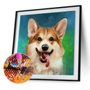 5D Round Diamond Painting Dog Cross Stitch Embroidery Beaded Needlework