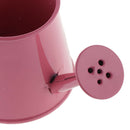 4x Pastoral Colorful Metal Tin Flower Pot Mini Bonsai Watering Kettle Can