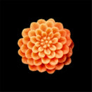 flower sea anemone shape silicone fondant cake mould decorat mold baking LJ