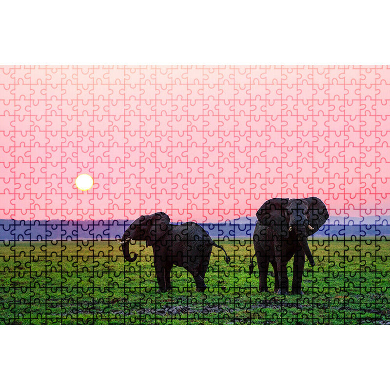 1000 Pieces Paper Jigsaw Puzzles Two Elephants Assembling Picture Kit