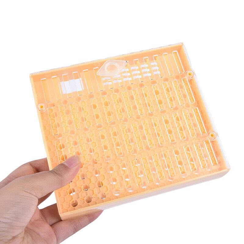 Beekeeping Tools Queen Rearing System Cultivating Box Plastic Bee Cell Cups  Gw