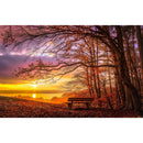 5D DIY Full Drill Diamond Painting Forest Sunset Cross Stitch Embroidery