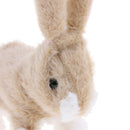 Cuddly Electronic Interactive Naughty Rabbit Toys Electric Robotic Pets Walk,