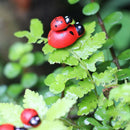 100Pcs Mini Ladybird Wooden Multi-Color Ladybugs Micro Landscape Decor Mixed