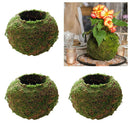 3Pcs 12cm Unique Green Moss Ball Flower Pot Bonsai Plant Holder Home Office