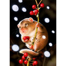 Full Drill Diamond Painting Kit DIY Bead Art Hamster Cherry Mosaic Picture