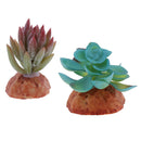 2PCS Aquarium Fish Tank Plants Succulents Reptile Hideaway Decoration - Reptile