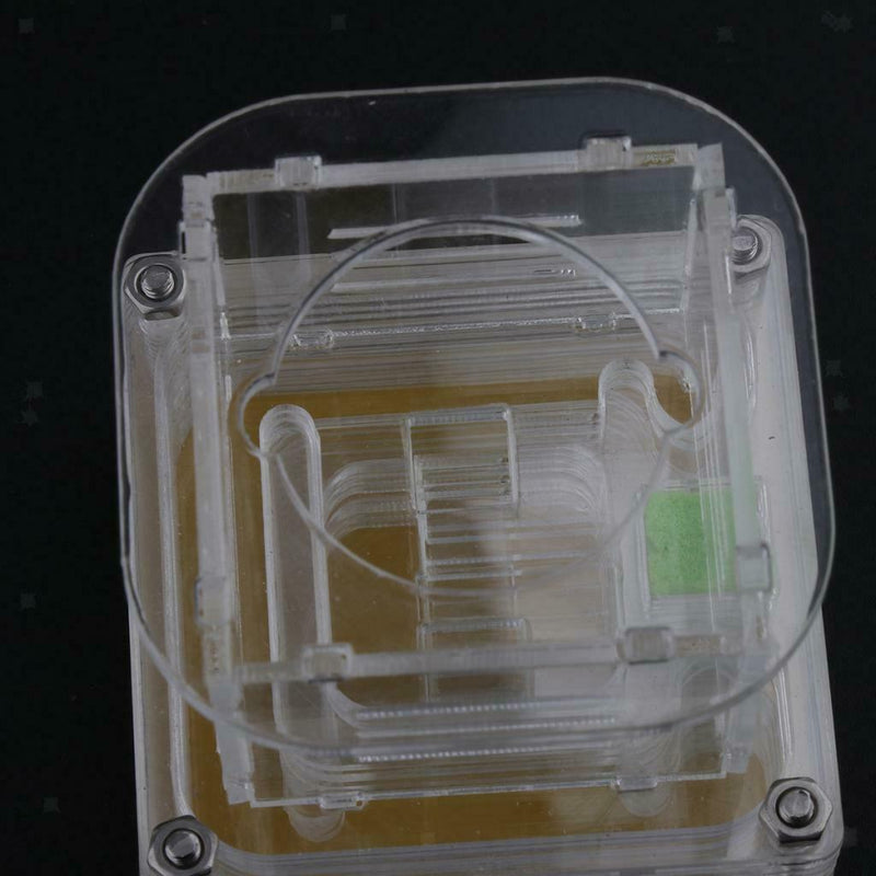 Clear Ant Feeding Nursery Box Ant Farm House Castle Insect Terrarium  S