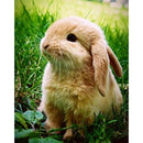 Full Round 5D Diy Diamond Painting Cute Rabbit Diamond Embroidery Cross Sti