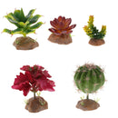 2Pack Reptile Succulent Plants Fish Tank Ornament Desert Plant Artificial