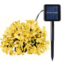 20LED 5m Solar Cherry Blossom String Light Decorative Lamp (Warm White)