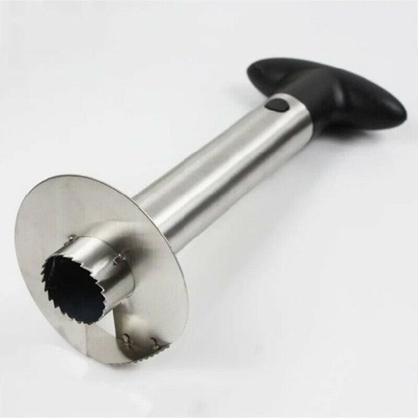 4pcs Stainless Steel Pineapple Fruit Corer Slicer Cutter Peeler Kitchen To DOM