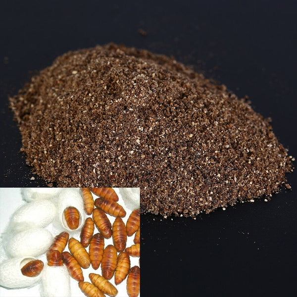 Silkworm Pupa  30g Fishing Bait Additives For Carp Feeder Bait Additivessp