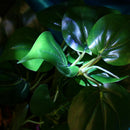 Artificial Aquarium Plant Water Grass Real Look FishTank Dec Ornament J6N4