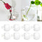 8 x Wall Mounted Transparent Glass Hydroponic Vase Terrarium Container - Ball -