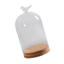 Bird Decorative Glass Dome with Wooden Base - Cloche Bell Jar Display 15cm