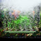 Fish Tank Aquarium Air Bubble Oxygen Pump Air Diffuser Aeration Tube (A)