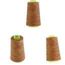 40S/2 Rainbow Overlocking Sewing Machine Polyester Thread All Purpose 3Pack