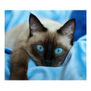 Full Drill Blue Eye Cat 5D Diamond DIY Painting Craft Kit Home Decor