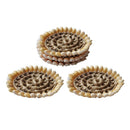 5x Sea Shell Decor Dinner Placemat Decoration Home Cup Coaster 3.7" Mat