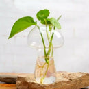 Clear Glass Vase Bottle For Plant Flower Decorations - Mushroom I7J1
