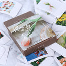 46Pcs Tulip Stationery Stickers Pack Posted Planner Scrapbooking Memo Stick BX