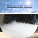Weather Forecast Barometer Bird Shape Storm Glass Home Decor Birthday Xmas  N7P9