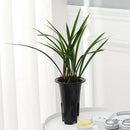 3x Plastic Plant Pots Garden Flower Pots Planters Indoor Outdoor Floral Planter