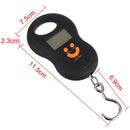 50Kg /10G Mini Digital Hanging Scale for Fishing Luggage Travel Weighting S