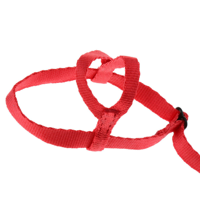 2 Pcs Parrot Adjustable Bird Harness and Leash, Flying Rope - Red & Black
