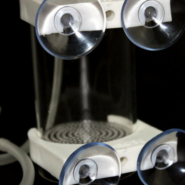 Aquarium Cichlids Tumbler Fish Hatchery Incubator Eggs Mouth-brooding 50mm K1C2