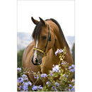 5D DIY Full Drill Diamond Painting Horse Flowers Cross Stitch Embroidery
