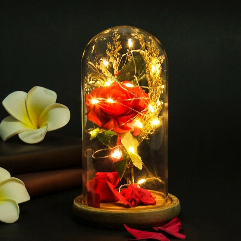 Birthday Gift Beauty And The Beast Red Rose With Fallen Petals In A Glass D S9L4