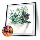 5D Diamond Painting Succulent Plant DIY Full Drill Cross Stitch Decor (375)