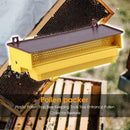 Beekeeping Plastic Pollen Trap Bee Hive Reusable Collector Apiculture Supplies