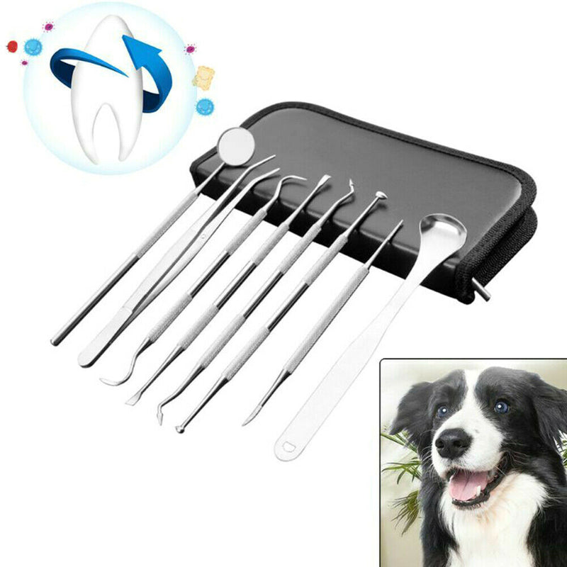 Pet dental dentist oral care tools tweezers instrument selection tool kit